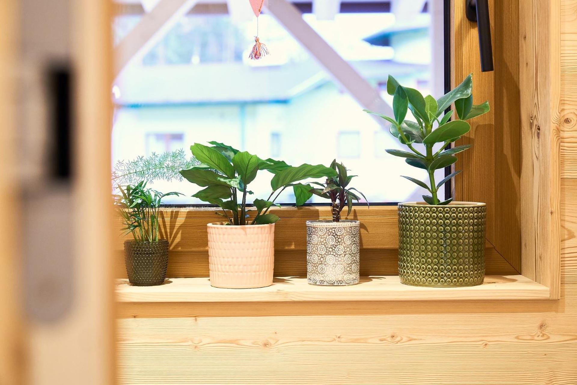 Das Habitat ロイタシュ エクステリア 写真